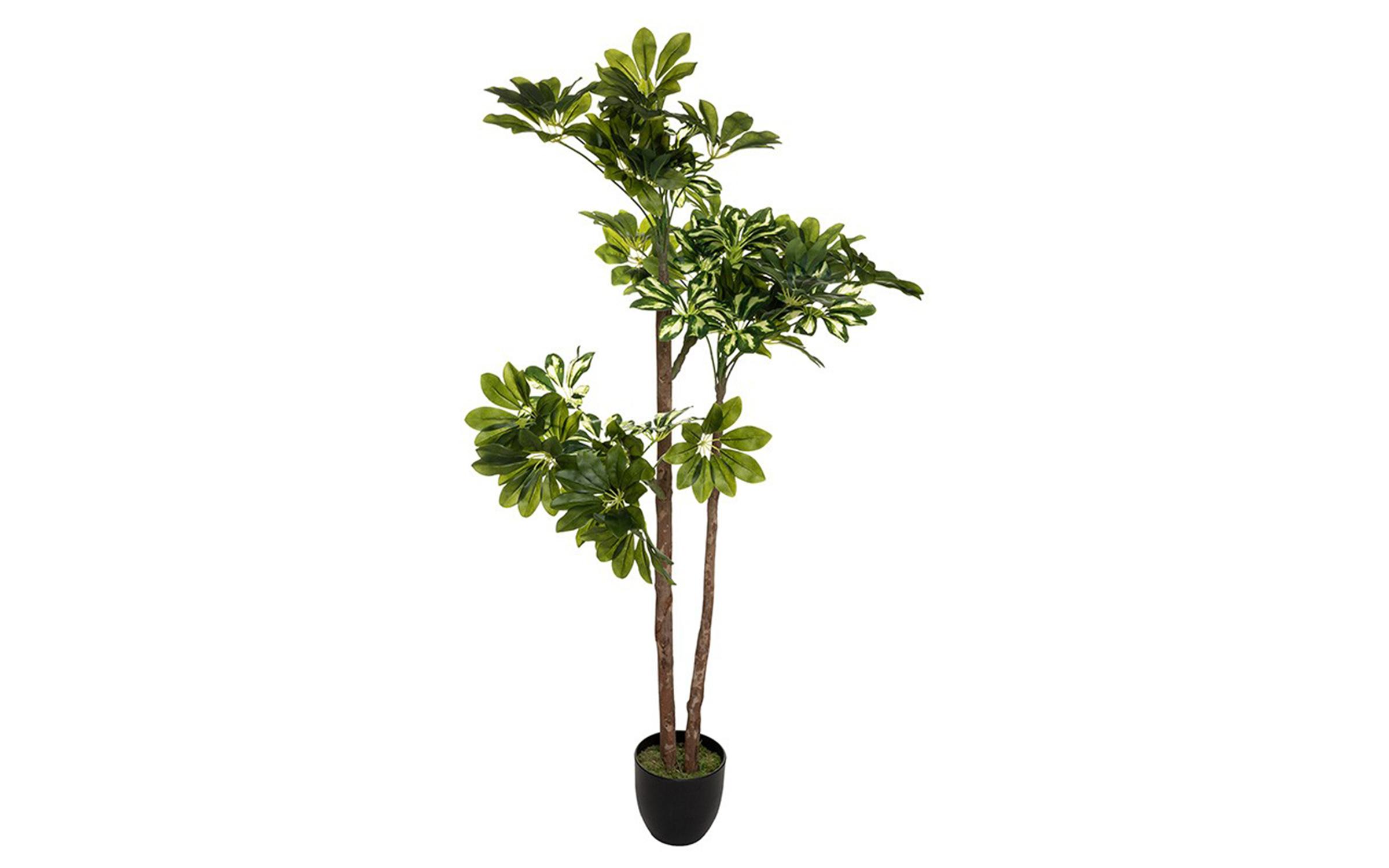 Planta artificiala, 70/65/135 cm.  1