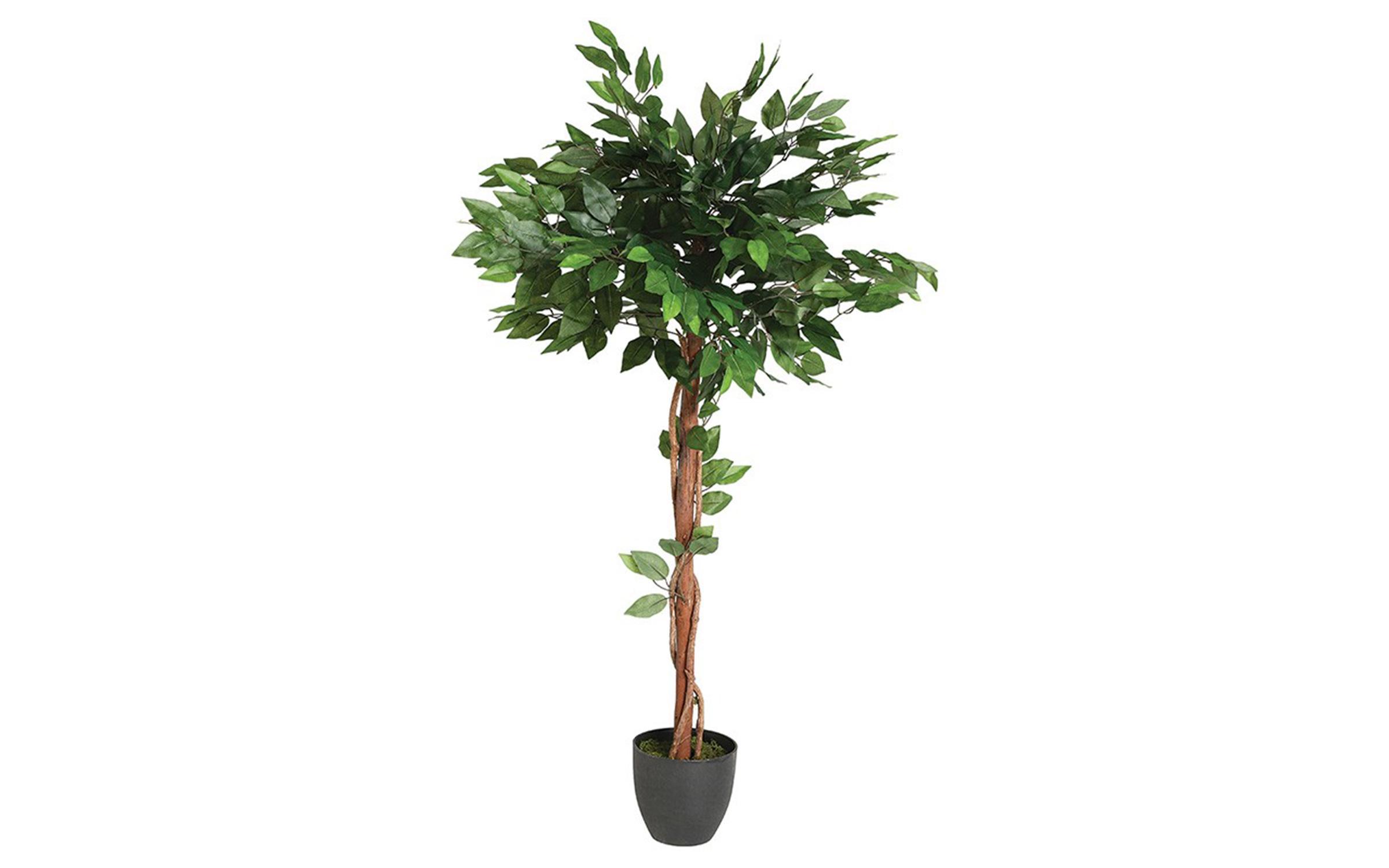 Planta artificiala Ficus 130 cm, verde + negru  1