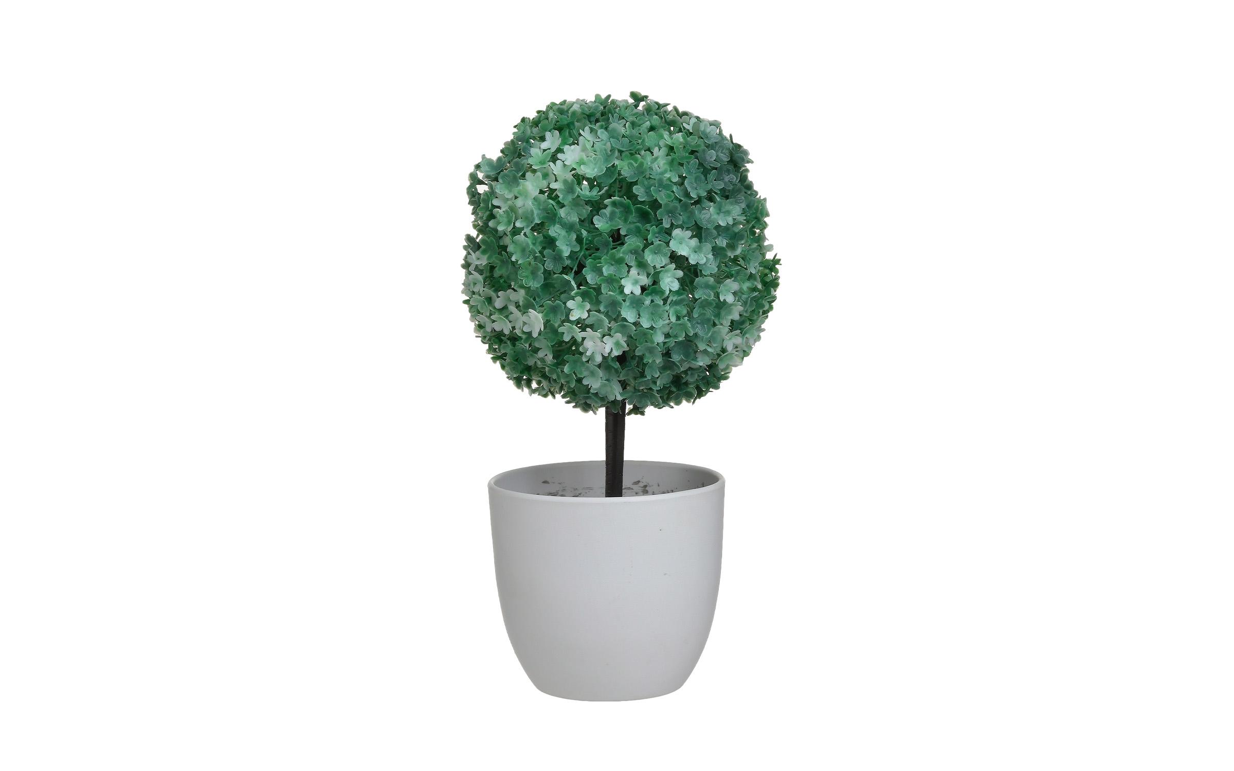 Planta decorativa, verde + alb  1