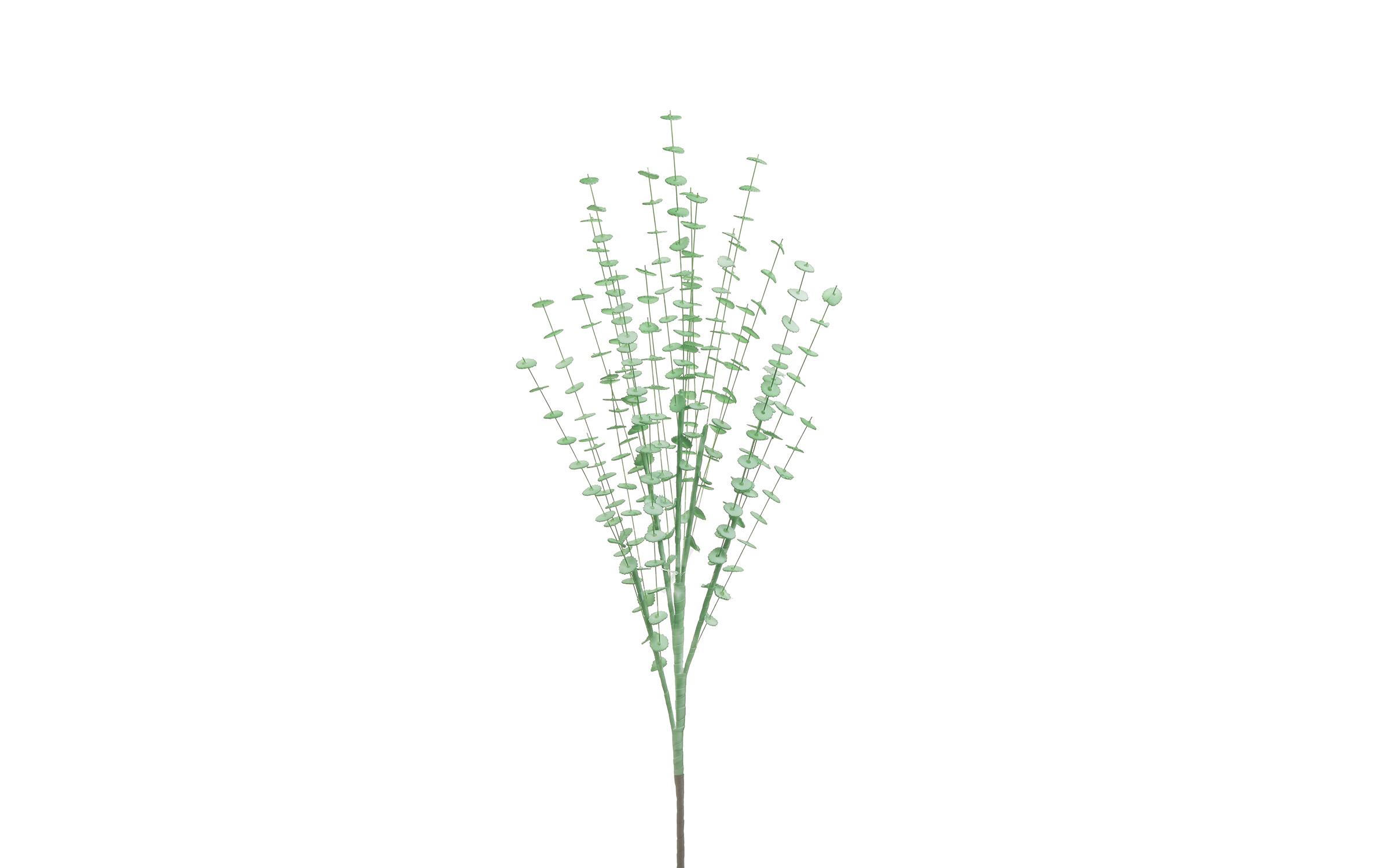 Planta decorativa,   1