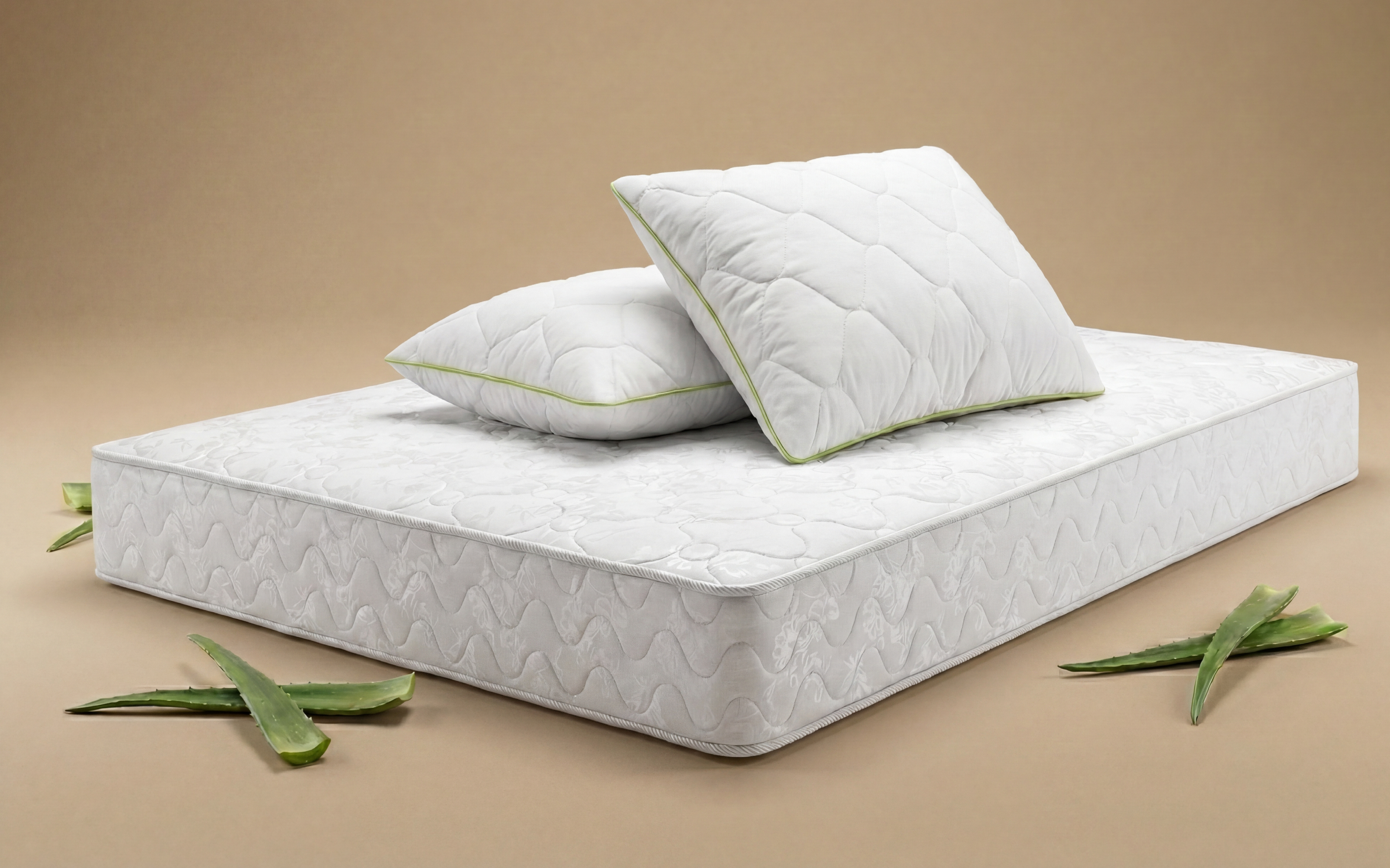 Set saltea 160/200 + 2 perne Leo Classic + Aloe Dream,   1