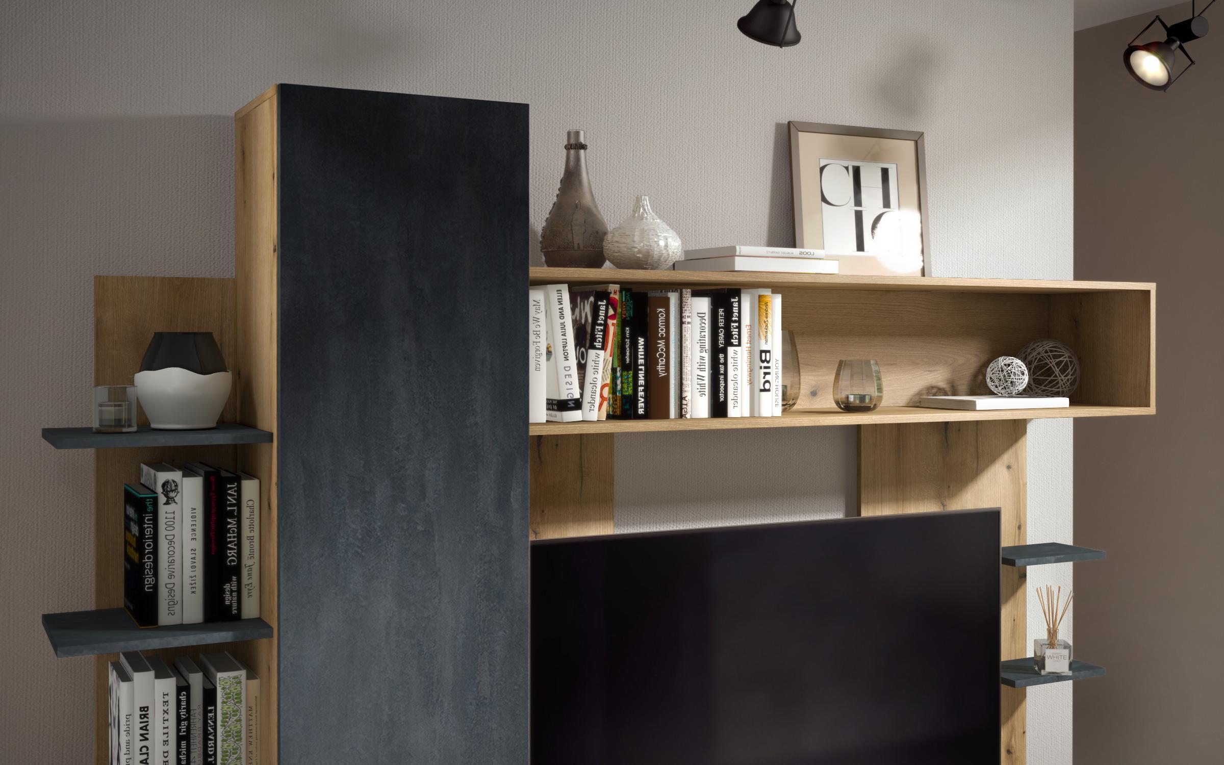 Biblioteca Tera, stejar evoc + Magma  6