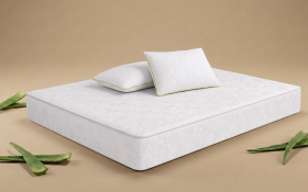 Set saltea 140/200 + 2 perne Leo Classic + Aloe Dream thumb