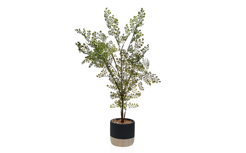 Planta decorativa, Dimensiuni: h71 cm  1