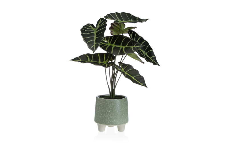 Planta decorativa, Dimensiune: h46 cm  1