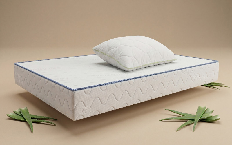Set saltea 120/190 + perna Leo Multirelax + Aloe Dream,   1