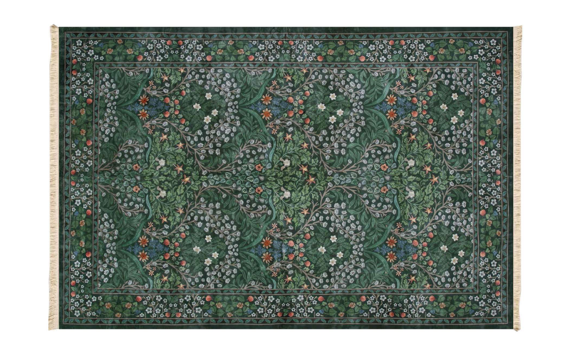 Covor 150/230 сm Ariele, multicolor  1